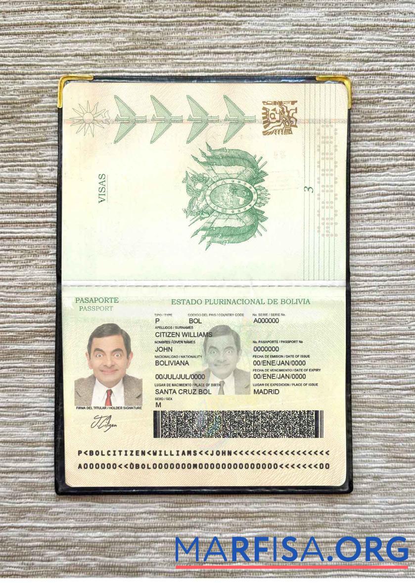Realistic Bolivia passport photo look sample